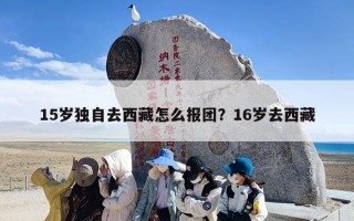 15岁独自去西藏怎么报团？16岁去西藏