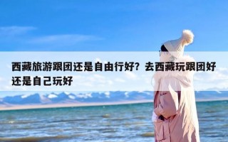 西藏旅游跟团还是自由行好？去西藏玩跟团好还是自己玩好