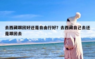 去西藏跟团好还是自由行好？去西藏自己去还是跟团去