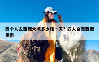 四个人去西藏大概多少钱一天？四人自驾西藏费用