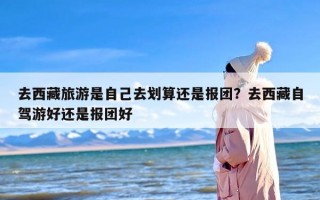 去西藏旅游是自己去划算还是报团？去西藏自驾游好还是报团好