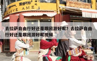 去拉萨自由行好还是跟团游好呢？去拉萨自由行好还是跟团游好呢视频
