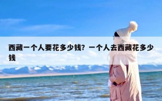 西藏一个人要花多少钱？一个人去西藏花多少钱