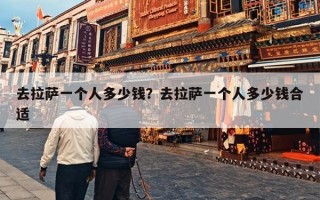 去拉萨一个人多少钱？去拉萨一个人多少钱合适