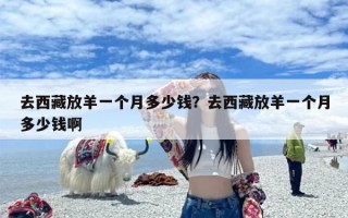 去西藏放羊一个月多少钱？去西藏放羊一个月多少钱啊