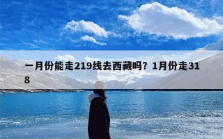 一月份能走219线去西藏吗？1月份走318