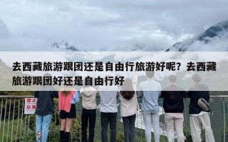 去西藏旅游跟团还是自由行旅游好呢？去西藏旅游跟团好还是自由行好