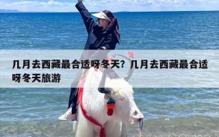 几月去西藏最合适呀冬天？几月去西藏最合适呀冬天旅游