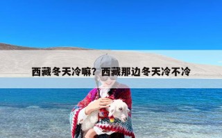 西藏冬天冷嘛？西藏那边冬天冷不冷