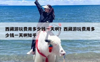 西藏游玩费用多少钱一天啊？西藏游玩费用多少钱一天啊知乎