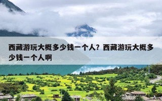 西藏游玩大概多少钱一个人？西藏游玩大概多少钱一个人啊