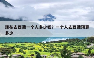 现在去西藏一个人多少钱？一个人去西藏预算多少