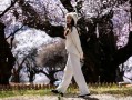去西藏看桃花最佳路线