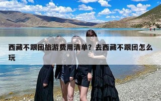 西藏不跟团旅游费用清单？去西藏不跟团怎么玩