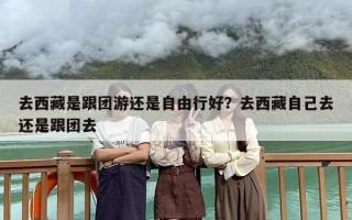 去西藏是跟团游还是自由行好？去西藏自己去还是跟团去