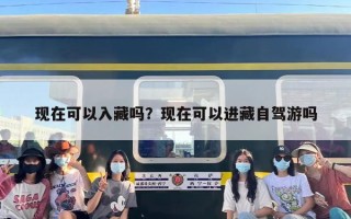 现在可以入藏吗？现在可以进藏自驾游吗