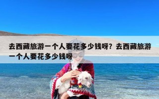 去西藏旅游一个人要花多少钱呀？去西藏旅游一个人要花多少钱呀