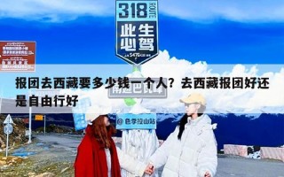 报团去西藏要多少钱一个人？去西藏报团好还是自由行好