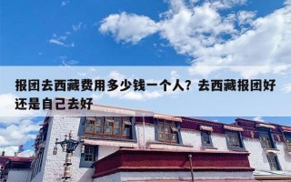 报团去西藏费用多少钱一个人？去西藏报团好还是自己去好