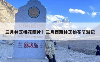 三月林芝桃花图片？三月西藏林芝桃花节游记