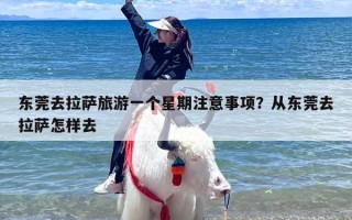 东莞去拉萨旅游一个星期注意事项？从东莞去拉萨怎样去