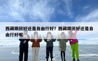 西藏跟团好还是自由行好？西藏跟团好还是自由行好呢