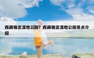 西藏雅泥湿地公园？西藏雅泥湿地公园景点介绍