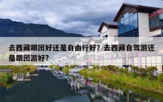 去西藏跟团好还是自由行好？去西藏自驾游还是跟团游好?