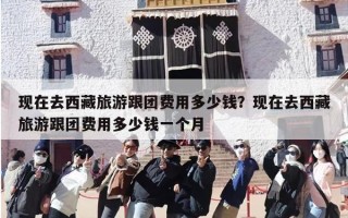 现在去西藏旅游跟团费用多少钱？现在去西藏旅游跟团费用多少钱一个月