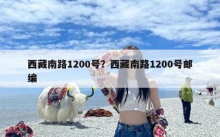 西藏南路1200号？西藏南路1200号邮编