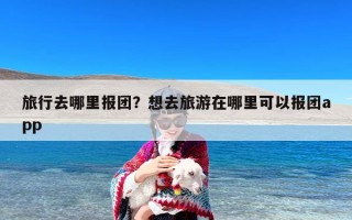 旅行去哪里报团？想去旅游在哪里可以报团app