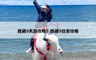 西藏9天游攻略？西藏9日游攻略