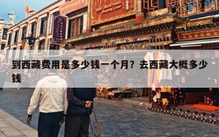 到西藏费用是多少钱一个月？去西藏大概多少钱