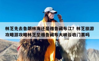 林芝先去鲁朗林海还是雅鲁藏布江？林芝旅游攻略游攻略林芝至雅鲁藏布大峡谷收门票吗