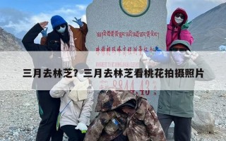 三月去林芝？三月去林芝看桃花拍摄照片