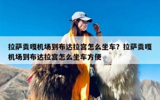 拉萨贡嘎机场到布达拉宫怎么坐车？拉萨贡嘎机场到布达拉宫怎么坐车方便