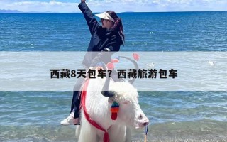 西藏8天包车？西藏旅游包车