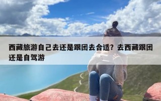 西藏旅游自己去还是跟团去合适？去西藏跟团还是自驾游