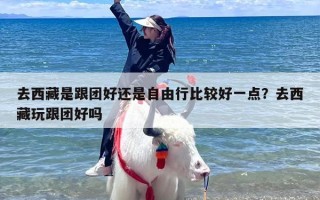 去西藏是跟团好还是自由行比较好一点？去西藏玩跟团好吗