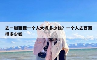 去一趟西藏一个人大概多少钱？一个人去西藏得多少钱