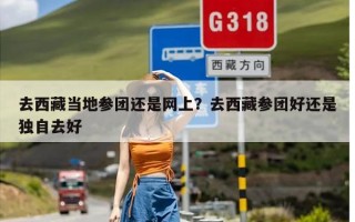 去西藏当地参团还是网上？去西藏参团好还是独自去好
