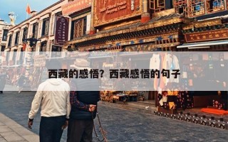 西藏的感悟？西藏感悟的句子