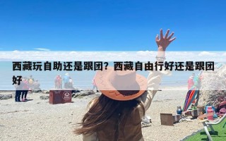 西藏玩自助还是跟团？西藏自由行好还是跟团好