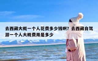 去西藏大概一个人花费多少钱啊？去西藏自驾游一个人大概费用是多少