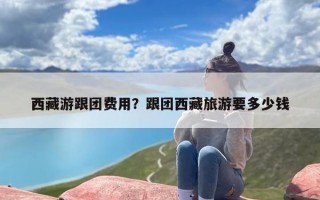 西藏游跟团费用？跟团西藏旅游要多少钱