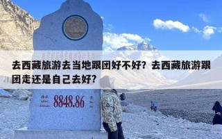 去西藏旅游去当地跟团好不好？去西藏旅游跟团走还是自己去好?