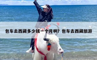 包车去西藏多少钱一个月啊？包车去西藏旅游