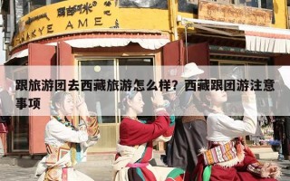 跟旅游团去西藏旅游怎么样？西藏跟团游注意事项