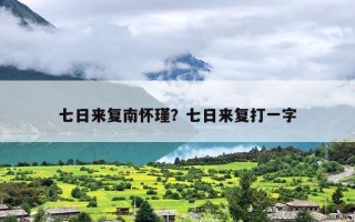 七日来复南怀瑾？七日来复打一字