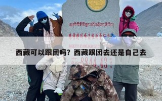 西藏可以跟团吗？西藏跟团去还是自己去